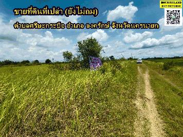 ขายที่ดินที่เปล่า (ยังไม่ถม)  ตำบลศรีษะกระบือ อำเภอองครักษ์ จังหวัดนครนายก ซอยโรงเรียนหนองขุม  